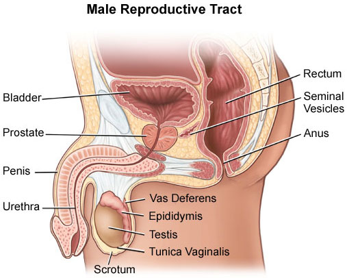 Prostate Surgery In Nashik | Dr. Sudarshan Daga