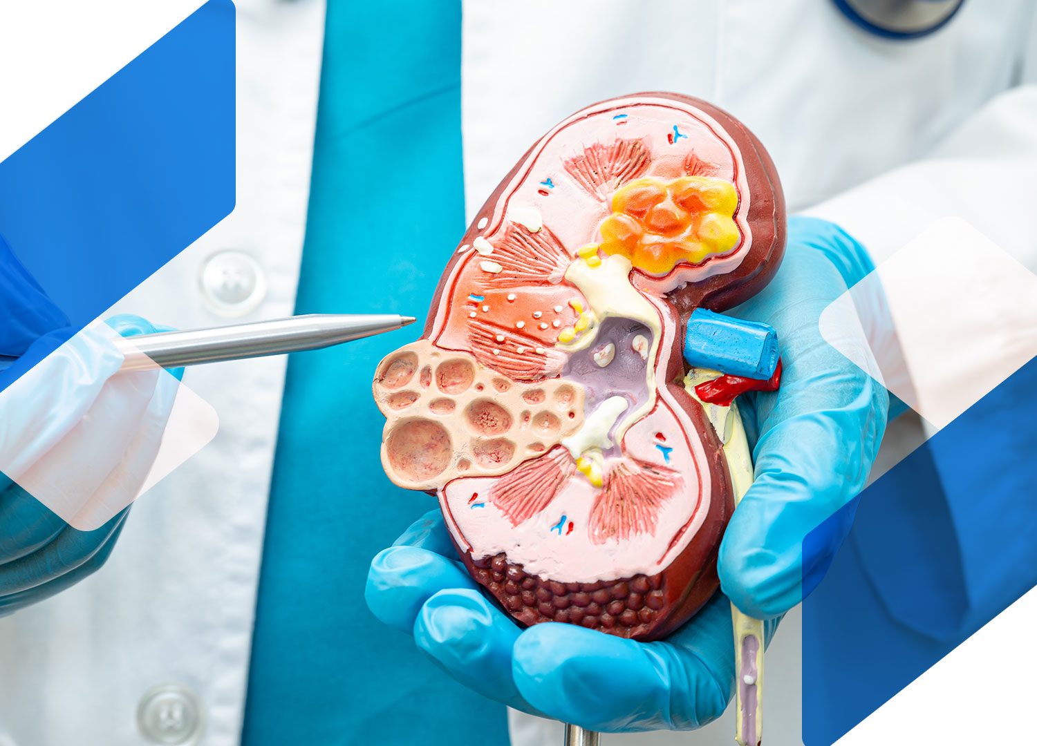Urology